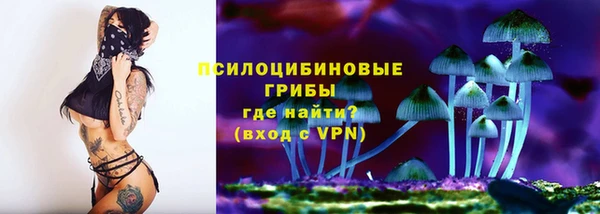 СК Аркадак