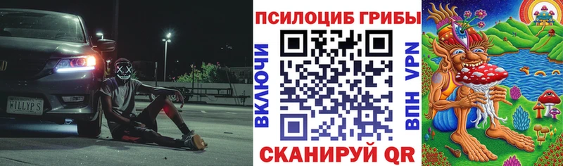 Галлюциногенные грибы ЛСД где купить Холмск